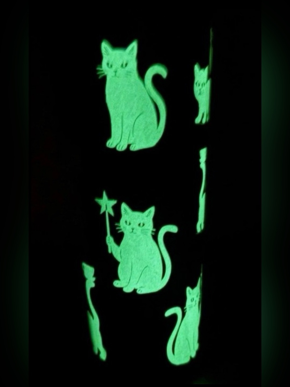 Starbucks Black Cat Matte Tumbler - Halloween GLow in the dark